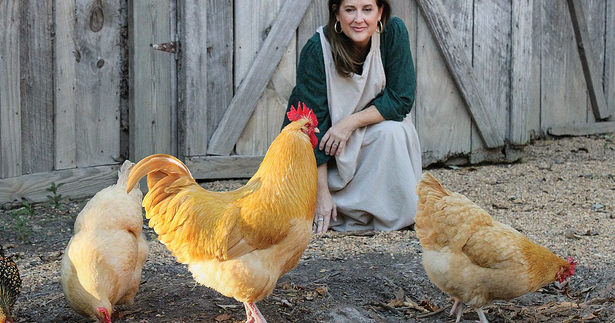 La vie de préparateur