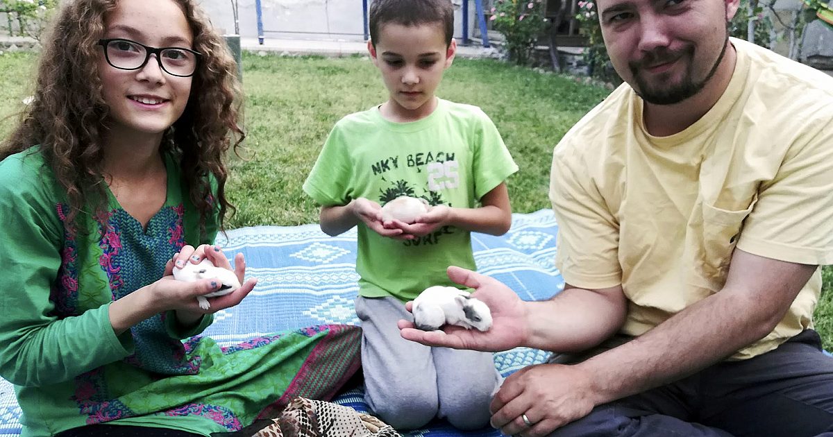 Deux Américains libérés lors d'un échange de prisonniers talibans