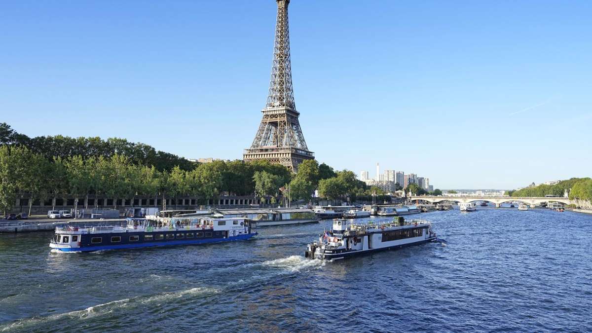 Augmentation de la qualité de l'eau: les espèces de moules menacées dans Pariser ont découvert son