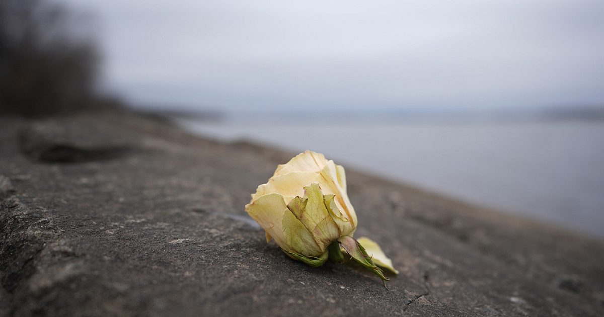 La plupart des organismes de victimes ont été récupérés, identifiés à la collision Potomac