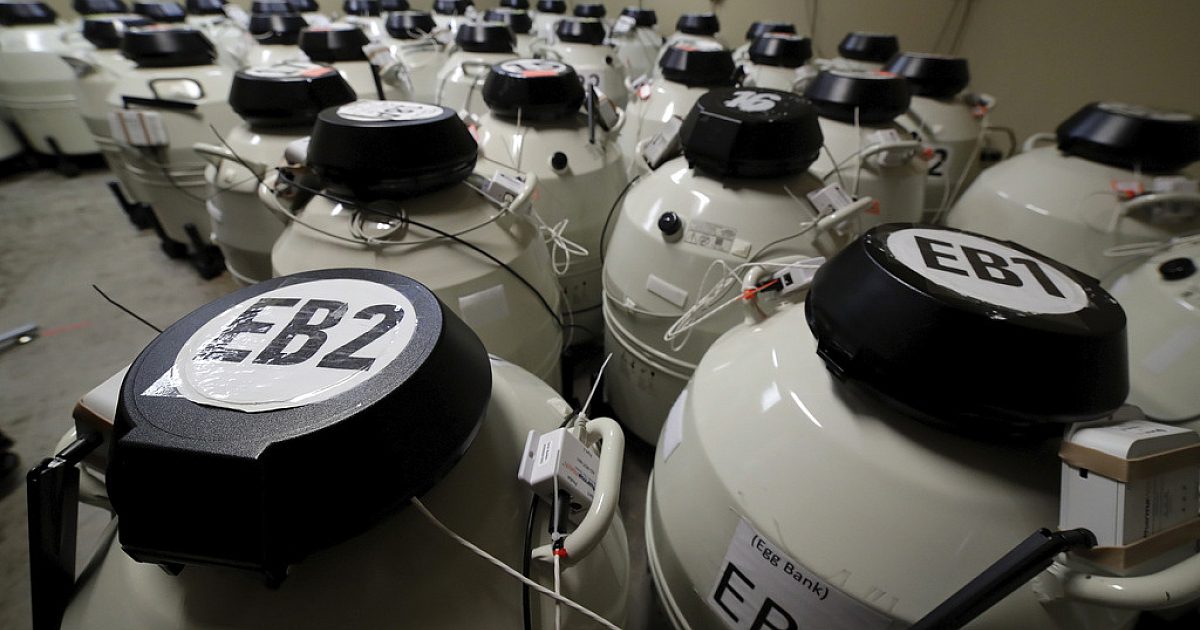 Les ordonnances de Trump ont élargi l'accès à la FIV, l'abordabilité