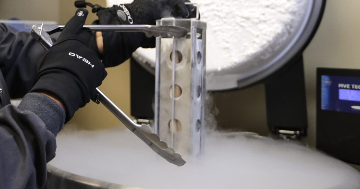 Les républicains sont en arrière à la FIV alors que certains pro-vies repoussent