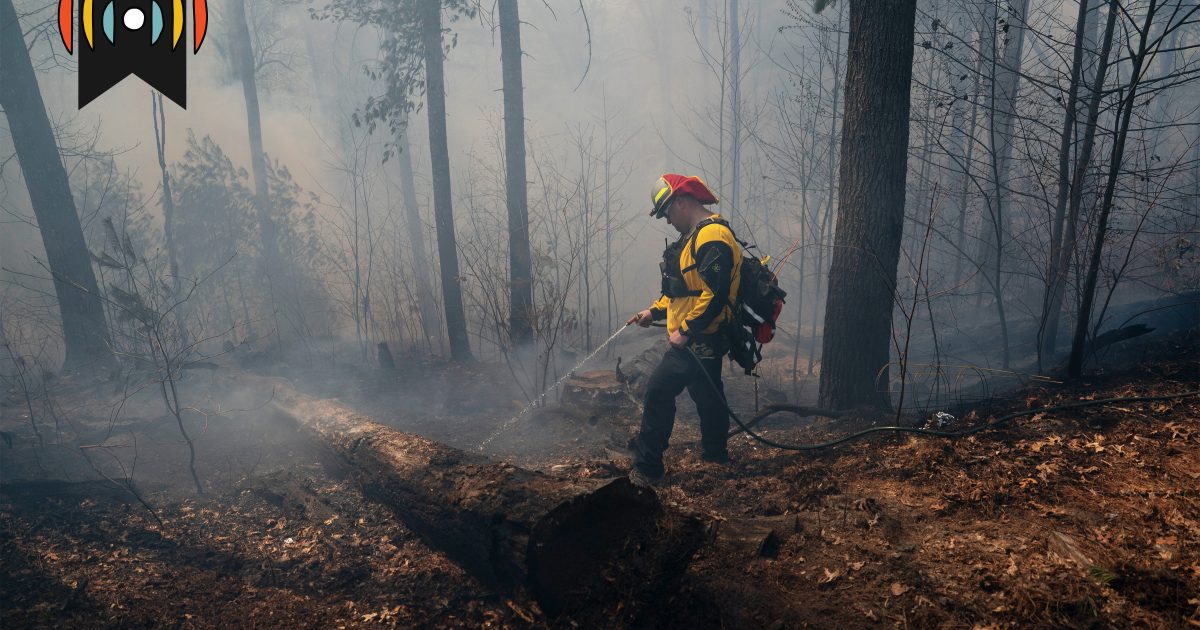 De la dévastation à la détermination | MONDE