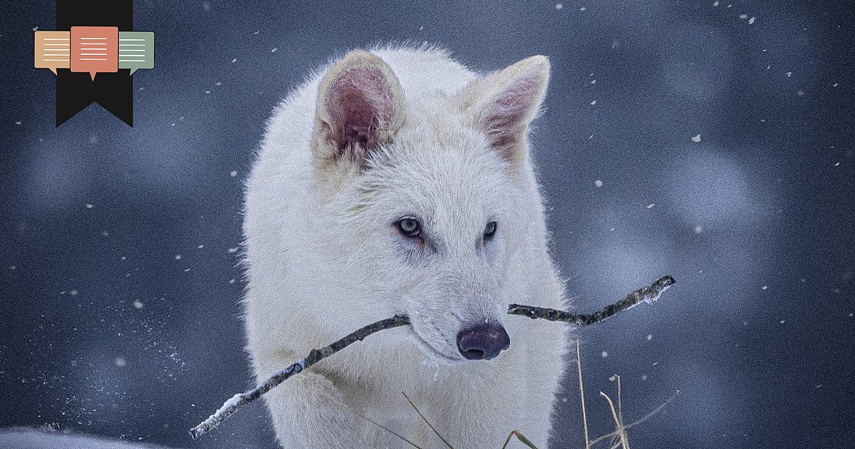 Développements désastreux Les Masters of Technology remodèlent le monde avec peu d'idée des conséquences