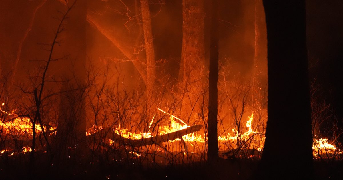 Homme du New Jersey accusé d'incendie criminel pour avoir prétendument lancé de grands incendies de forêt