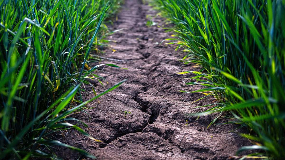 Climat: OCDE: Dürrefärfärben dans les 120 ans a doublé