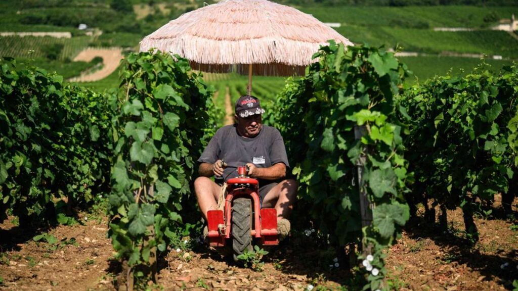Climat: Travailler dans la chaleur - Comment fait-il des pays étrangers?