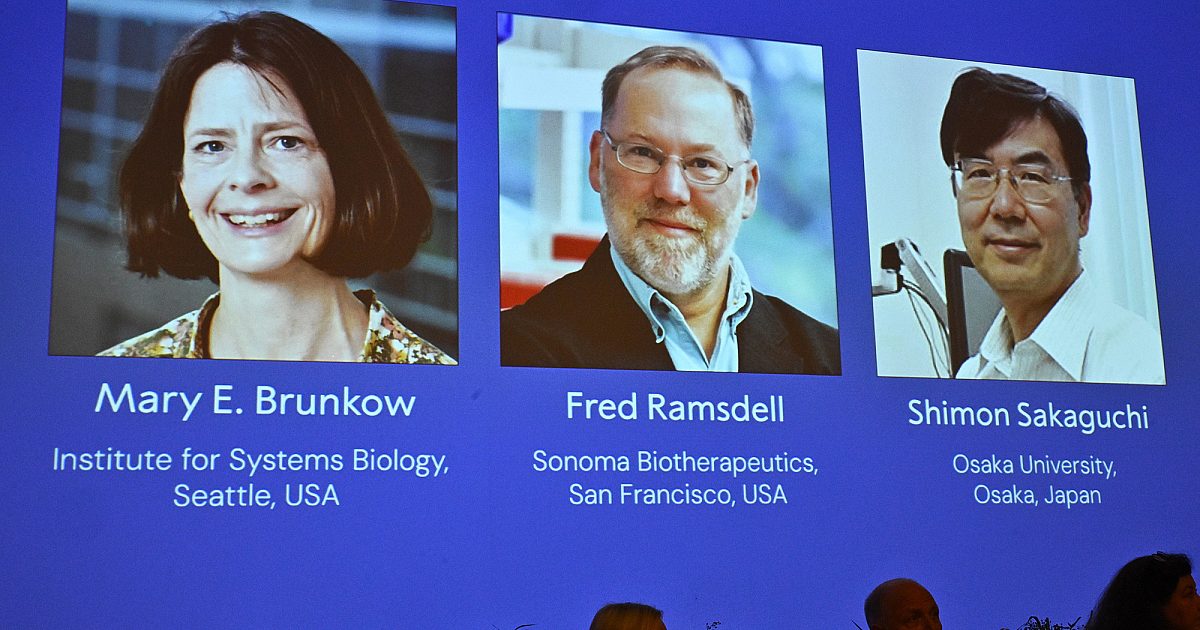 Des scientifiques américains remportent le prix Nobel pour la découverte du système immunitaire