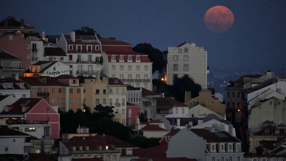 Cas au Portugal : les frères abandonnés sont autorisés à rentrer en France