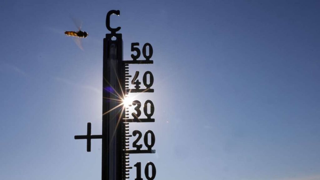 Météo : Chaleur en Allemagne - Les records de température vont-ils bientôt tomber ?