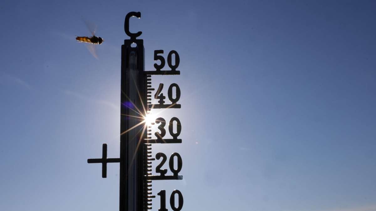 Météo : Chaleur en Allemagne - Les records de température vont-ils bientôt tomber ?